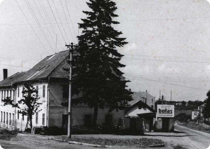 ボタナブランドの誕生